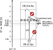 Publication Image